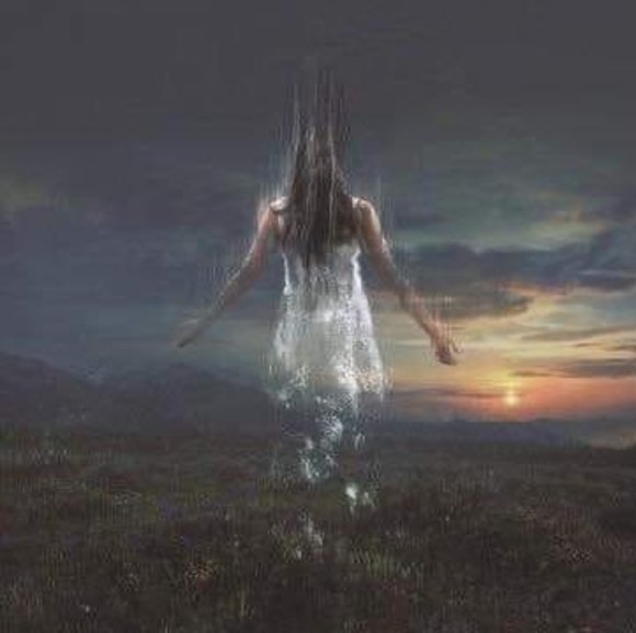 Meet your Posher, Shawna - Picture 1 of 1